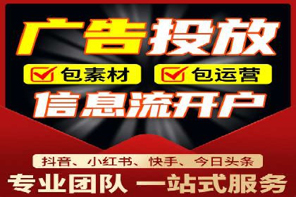某电商平台的SEM广告投放策略及效果评估